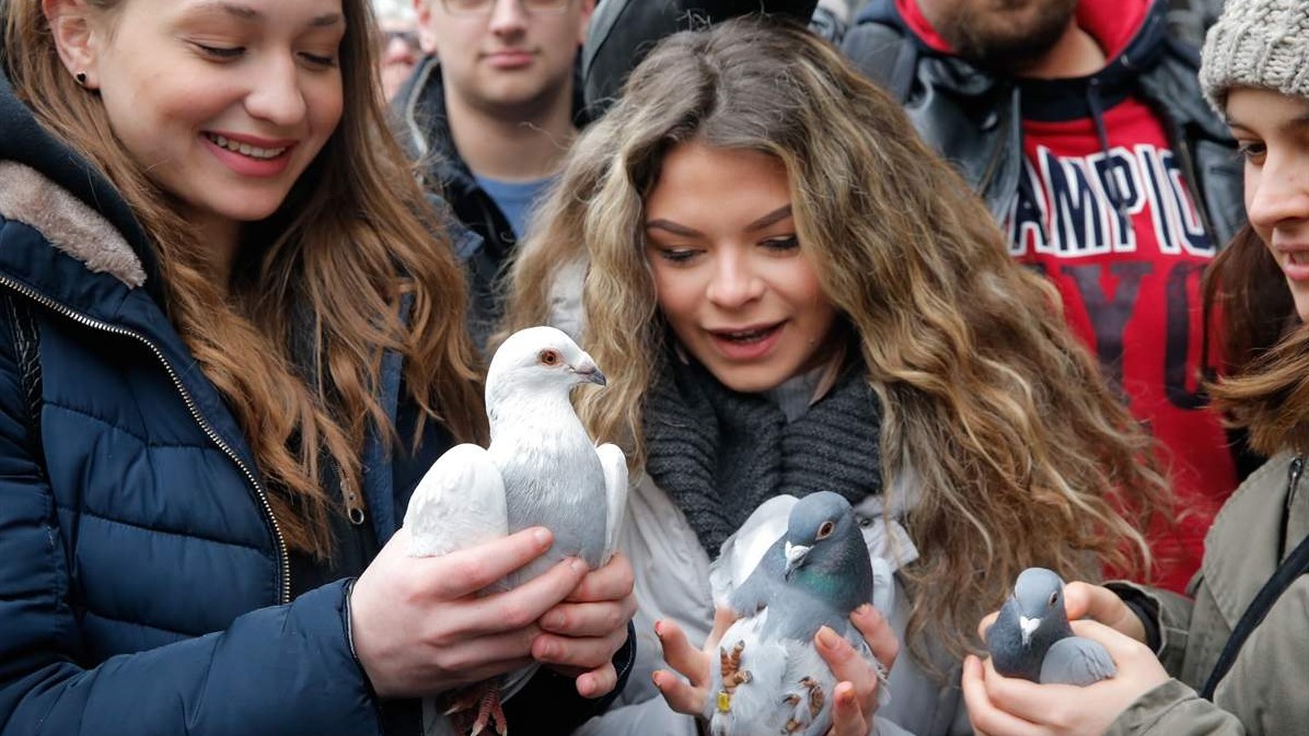 Simboličnim puštanjem 36 golubova počelo otvaranje festivala "Sarajevska zima 2020"