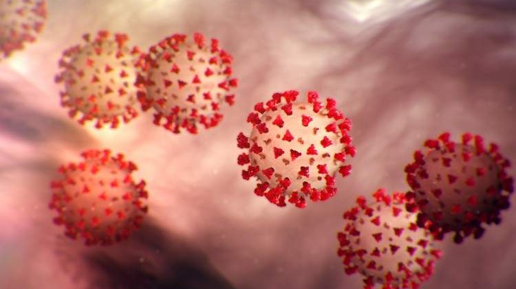 Osam hiljada ljudi diljem svijeta se oporavilo od koronavirusa za tri dana