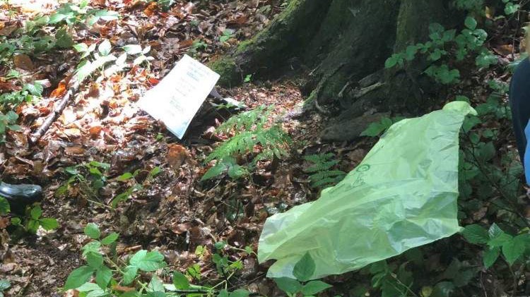 BiH: Na Kameničkom brdu pronađeni posmrtni ostaci još jedne žrtve genocida