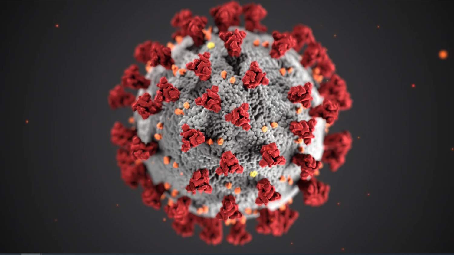 U svijetu zaraza koronavirusom potvrđena kod više od 99,3 miliona ljudi