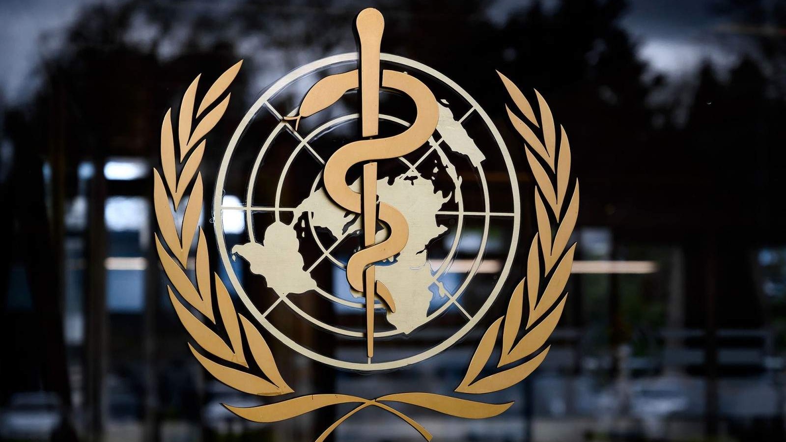 Uprkos globalnom padu broja zaraženih, WHO je protiv ukidanja mjera