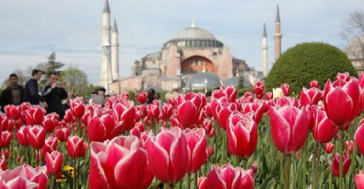 Istanbulski Festival tulipana počinje u aprilu