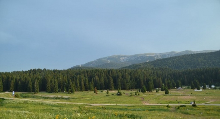 Utrka 10km na olimpijskoj biatlon stazi na Igmanu - Veliko polje