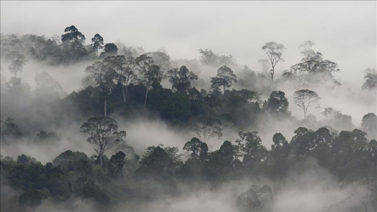 Bolsonaro uveo zabranu spaljivanja šuma radi dobivanja poljoprivrednih površina