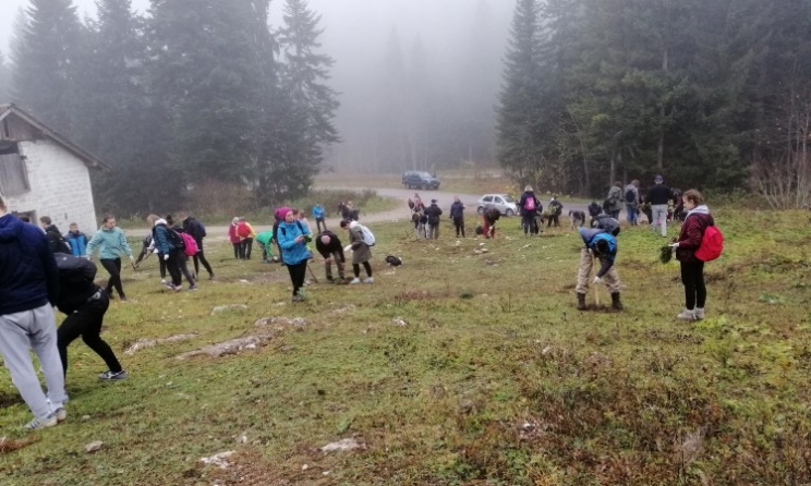 Na Igmanu akcija pošumljavanja '2019 sadnica za 2019. godinu'