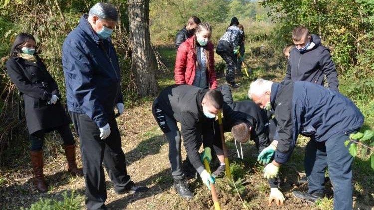 Nove sadnice u okviru projekta 'Inicijativa za zeleniju i održivu budućnost'