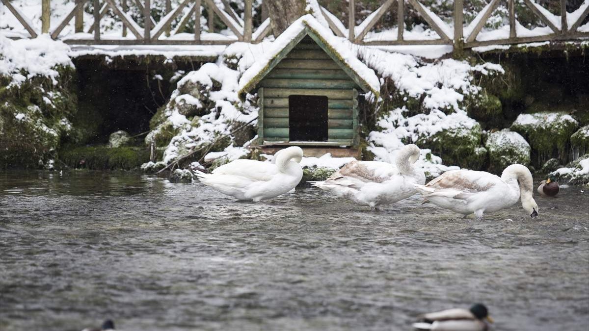 Sarajevo: Zimska idila na Vrelu Bosne (FOTO)