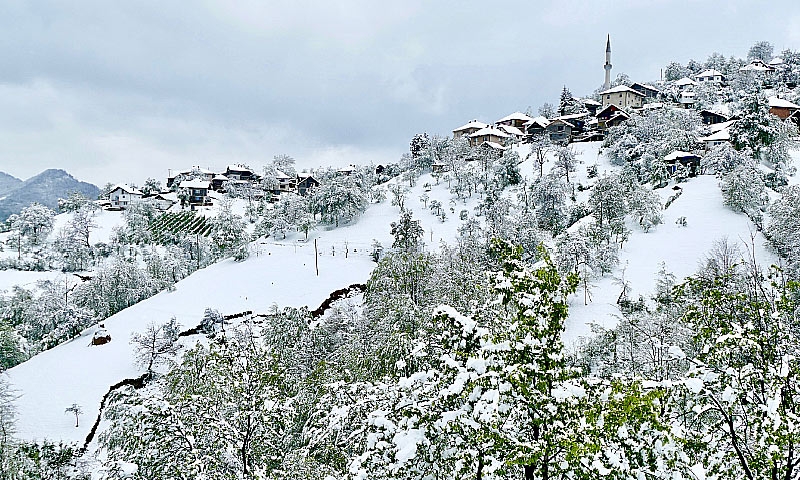 Reportaža -  Bistrica i Starina: Tri godine nakon poplava i klizišta