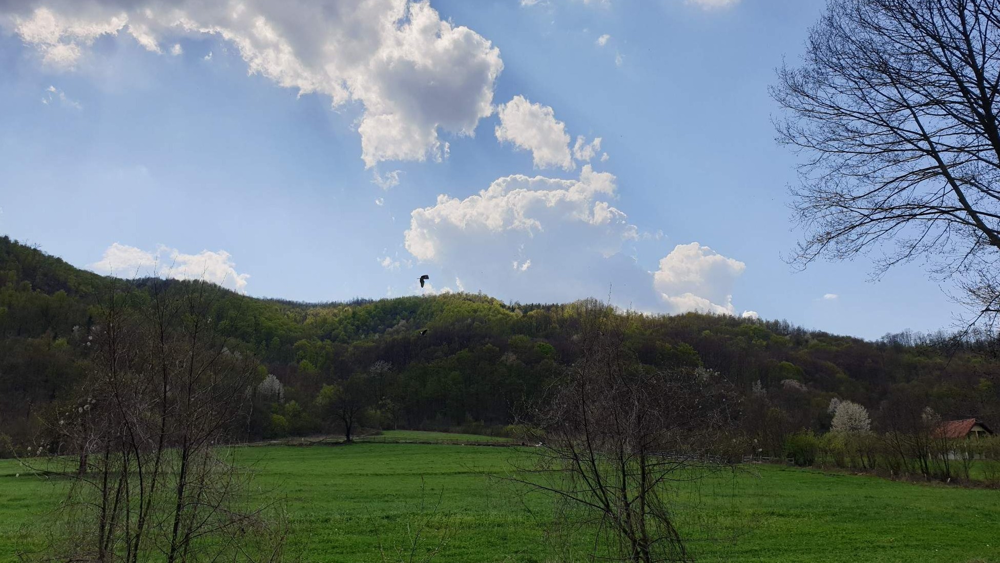 Izgradnja klimatski otporne budućnosti Bosne i Hercegovine