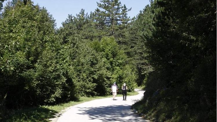 Dan planete Zemlje: BiH država s najmanjim postotkom zaštićene prirode u Evropi