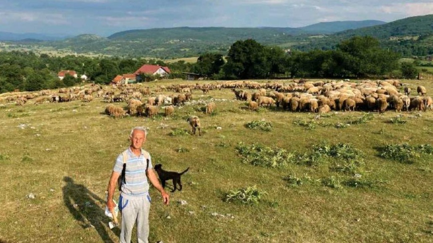 Islamska zajednica u središtu društva – od povratnika do društveno korisnih ustanova i organizacija