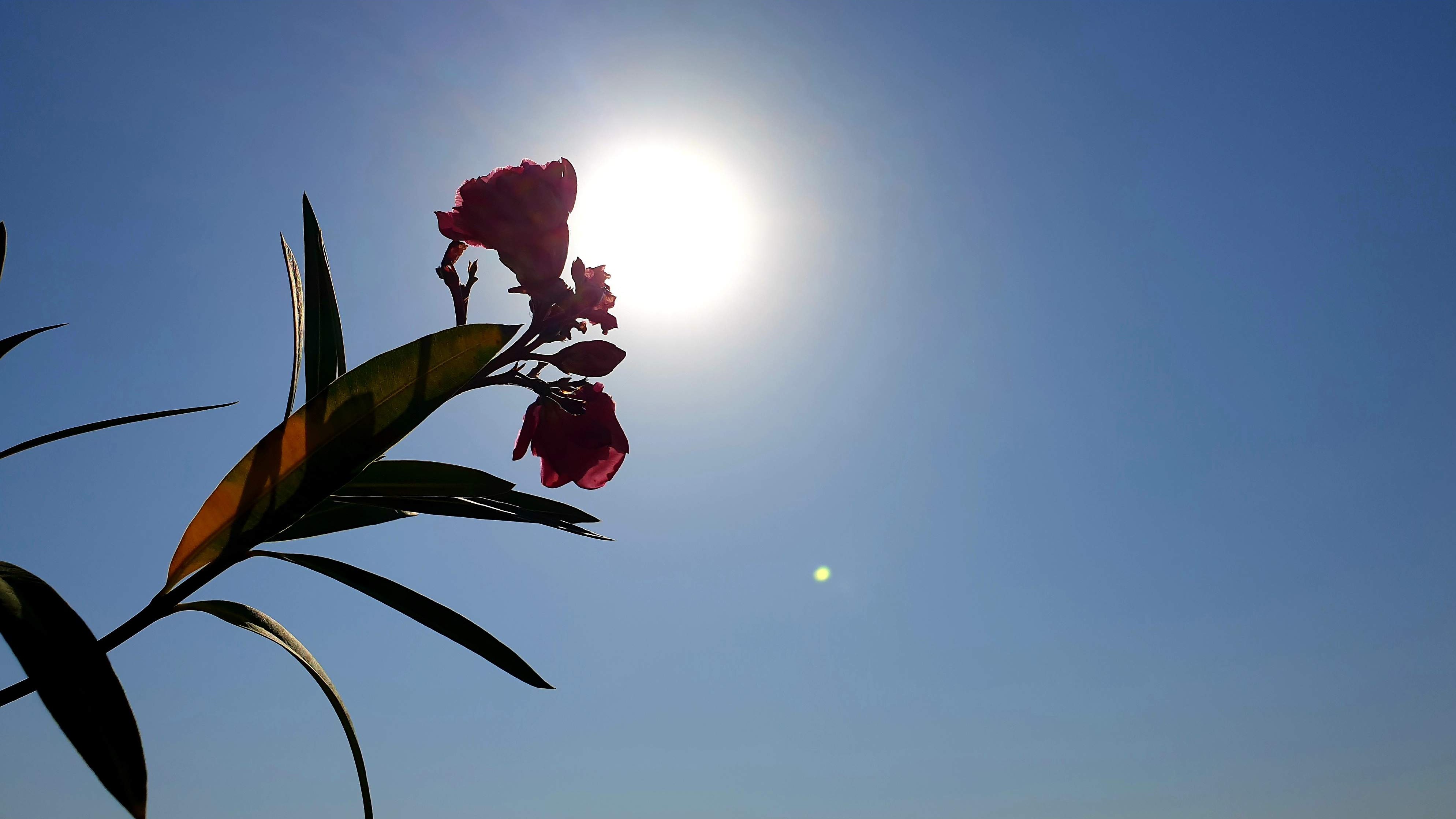 BiH: Zbog ekstremno visokih dnevnih temperatura u Hercegovini i većini Bosne na snazi narandžasti meteoalarm