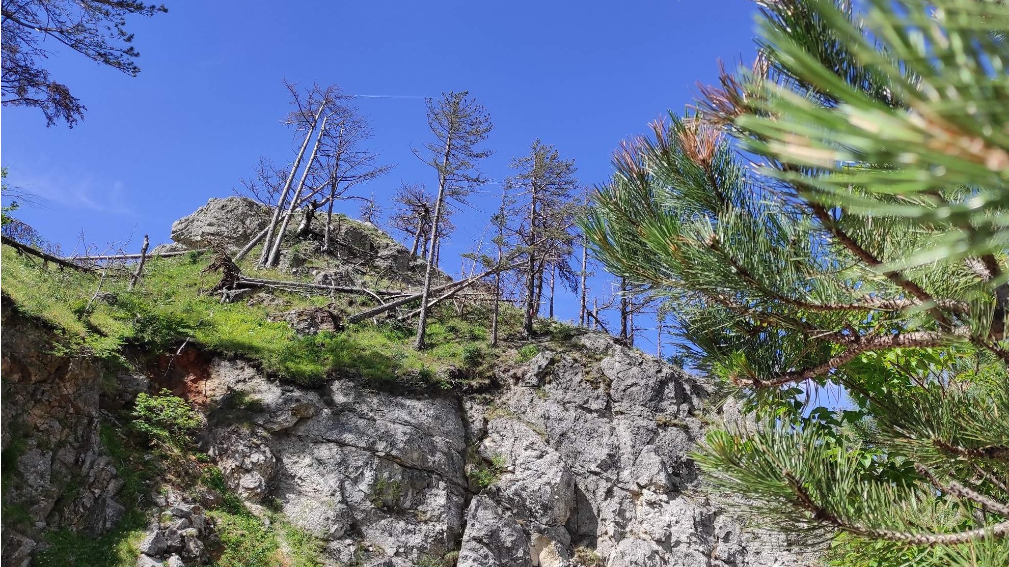 Posljedice klimatskih promjena u našoj zemlji