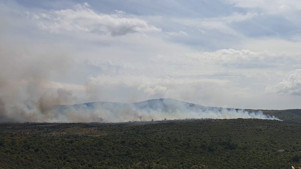 Savez općina i gradova FBiH uputio apel za pomoć područjima ugroženim od požara