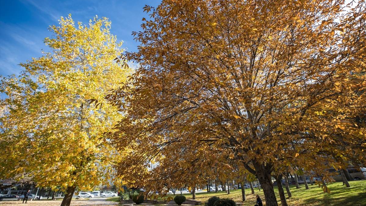 Čarobne boje jeseni u parkovima u Ankari