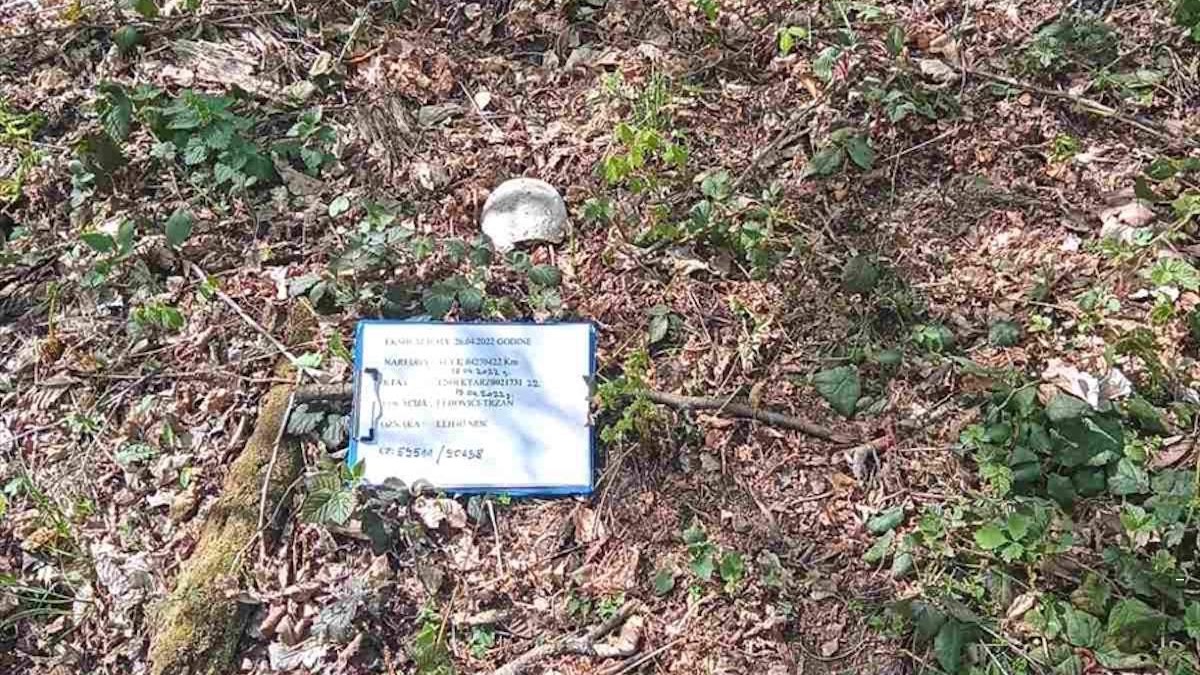 Asanacija u Srebrenici: Pronađeni nekompletni posmrtni ostaci jedne žrtve