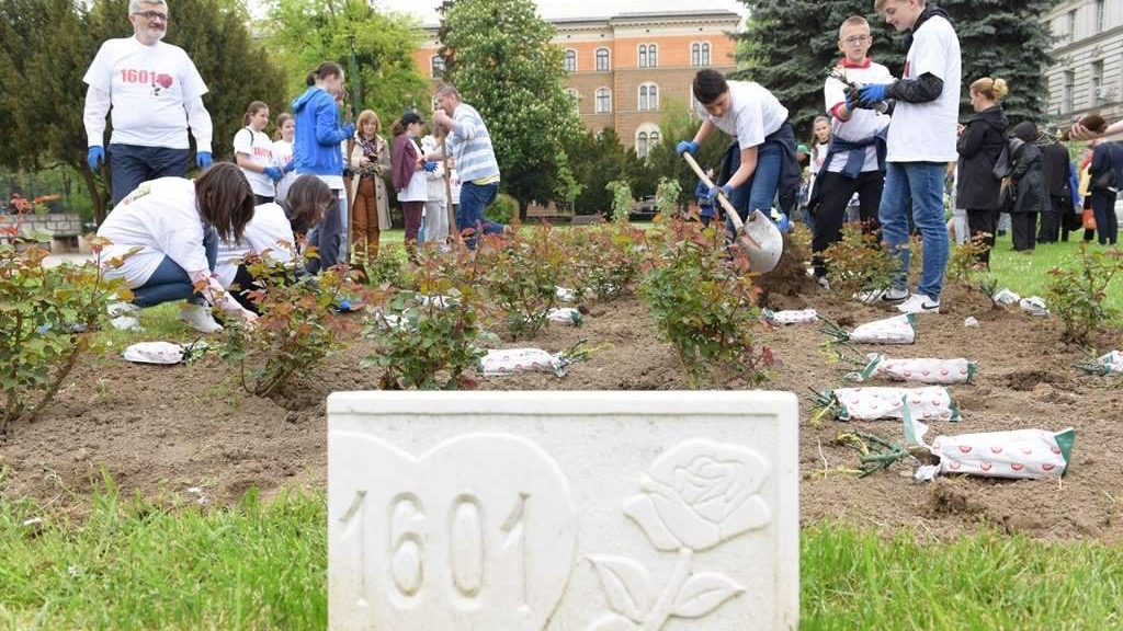 Sadnja ruža za 1.601 ubijeno dijete u opkoljenom Sarajevu