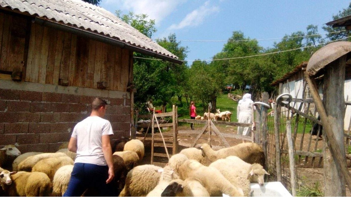 Akcija kurbani: Doprinos održivom povratku Bošnjaka