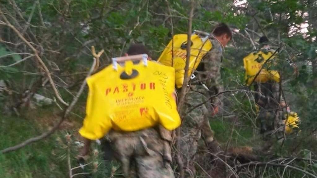 Oružane snage BiH gase veliki šumski požar na Čvrsnici