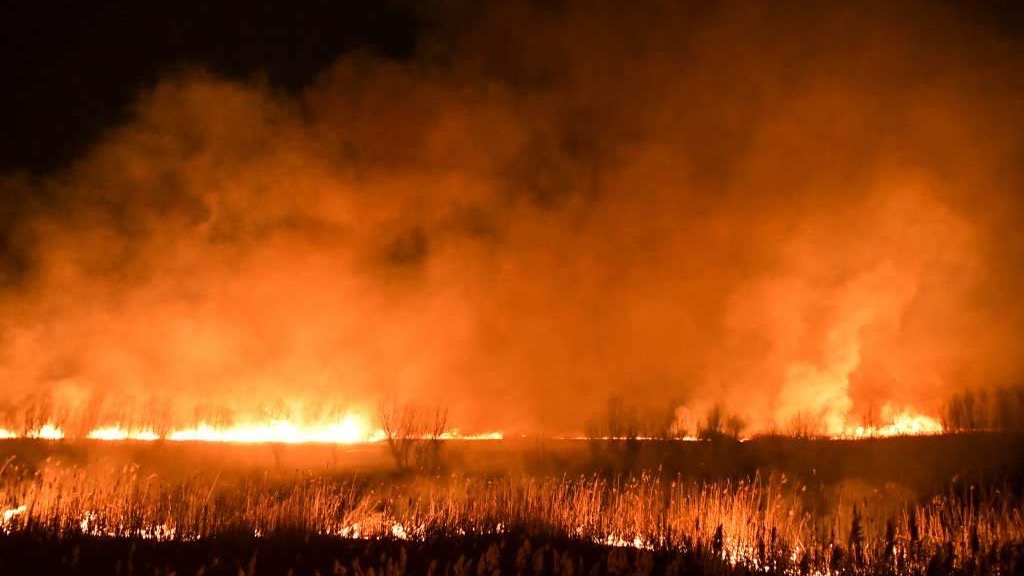 Požar još aktivan na planini Prenj