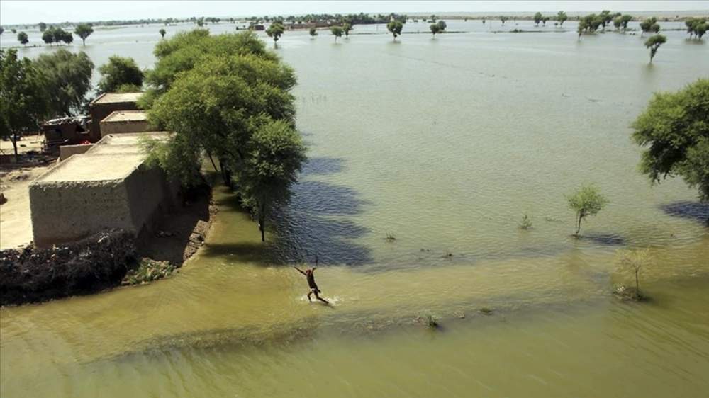 Nedavne poplave i kiše ozbiljna prijetnja divljim životinjama u Pakistanu