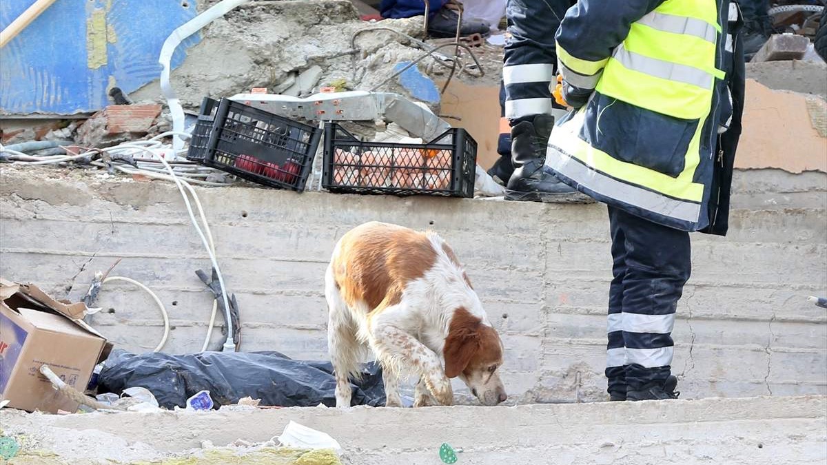 Još tri osobe spašene iz ruševina 84 sata nakon zemljotresa