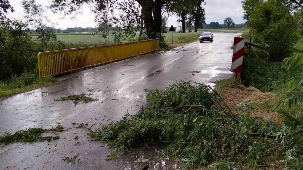 Nekoliko oborenih stabala i stuba ulične rasvijete, bilans su nevremena koje je zahvatilo KS