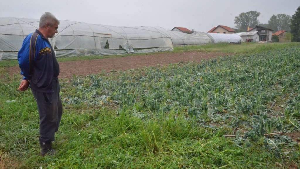 Nevrijeme napravilo štetu povrtlarima u Visokom, Marić i Granić obećali pomoć  