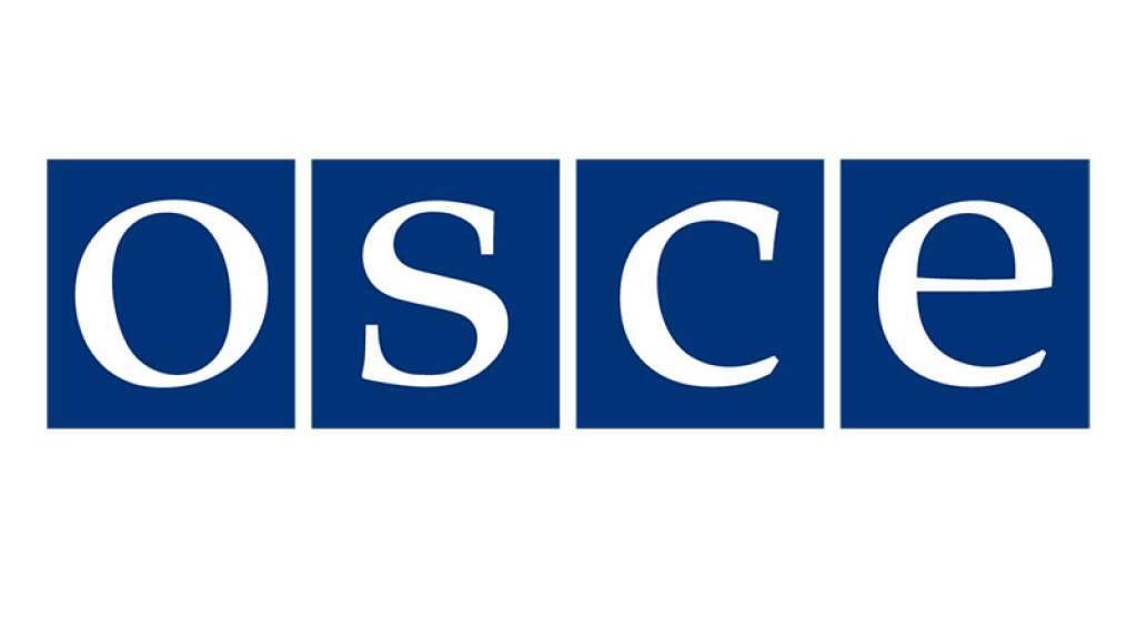 OSCE - Hitno djelovanje je imperativ kod rodno zasnovanog nasilja u BiH