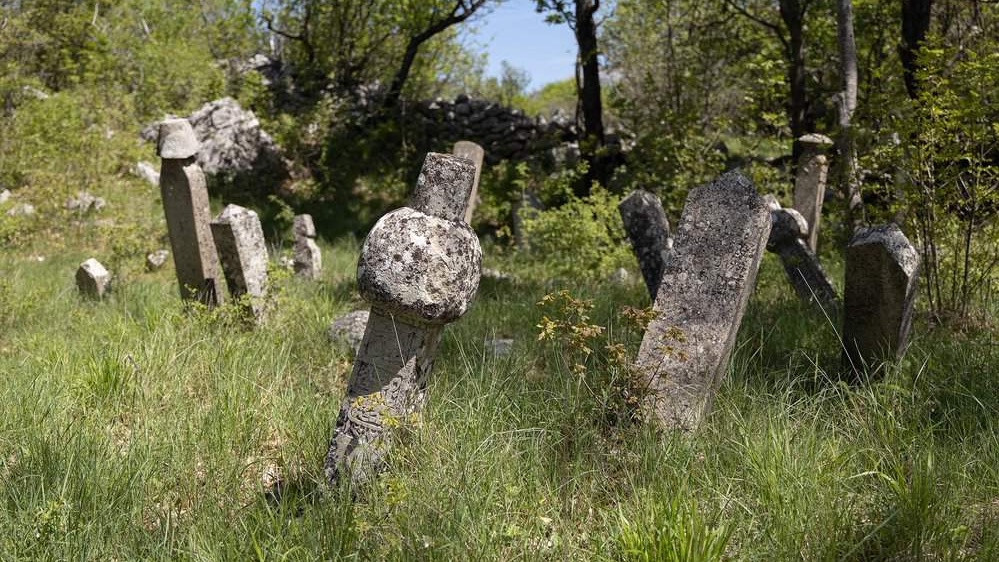 Podveležje