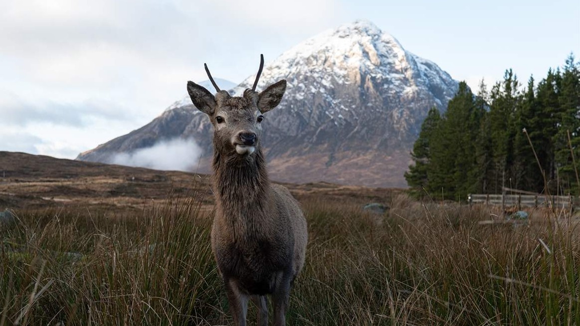 Čuvena škotska ruta Glencoe: Pogled koji oduzima dah