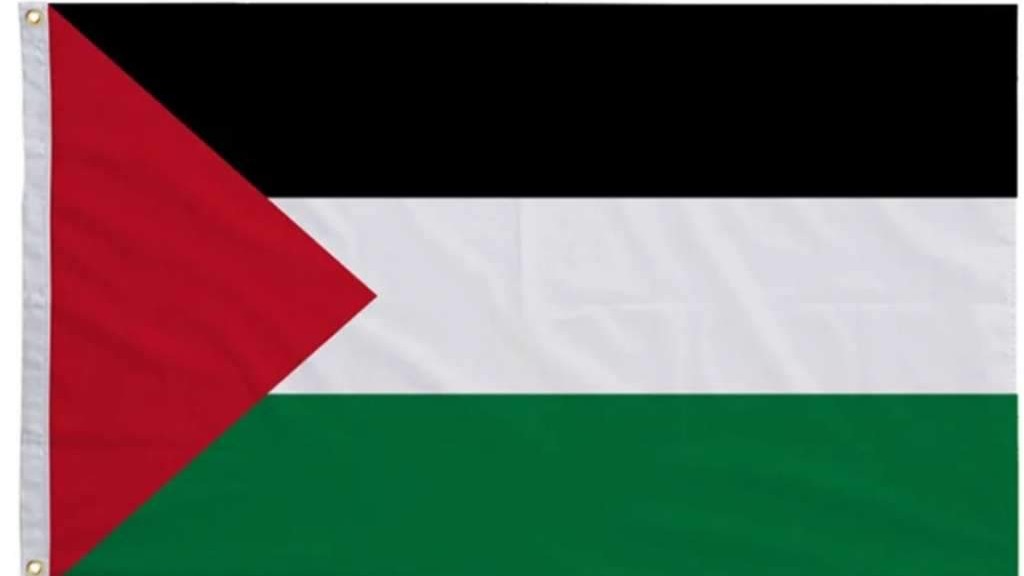Grupa stručnjaka UN-a pozvala sve zemlje da priznaju palestinsku državu