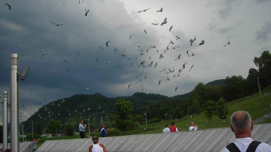 I ove godine Memorijalni let golubova EDZUP od Srebrenice do Sarajeva