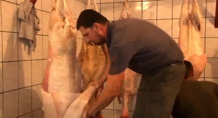 U Rijasetovoj akciji klanja kurbana u 2014. godini podijeljeno 135 tona mesa (VIDEO)