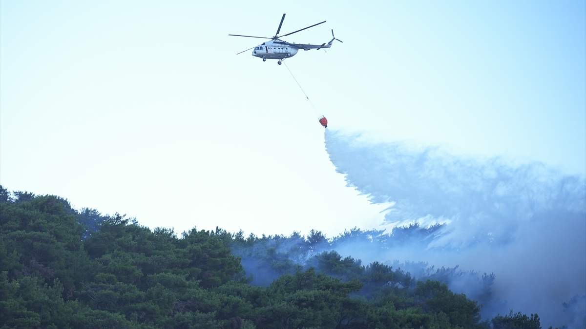 Turska: U Izmiru 69 požara pod kontrolom, aktivno šest