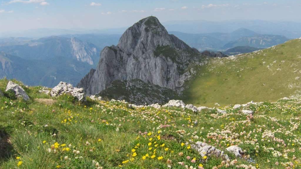 Babić za Međunarodni dan planina - Razmjere ružnog odnosa prema bh. šumama teško je opisati