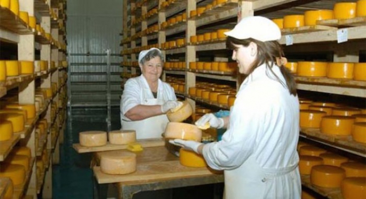 Tokom ovog mjeseca za tursko tržište kreće prva narudžba od 20 tona sira iz Mljekare Livno