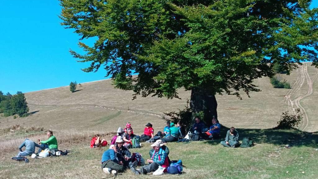 Dani planinara FBiH ovog vikenda na planini Lisac iznad Zenice