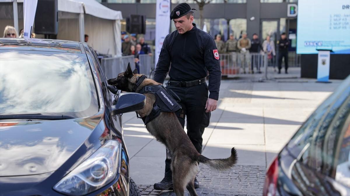 Prezentacija vještina K9 jedinica iz BiH privukla pažnju brojnih građana u Sarajevu