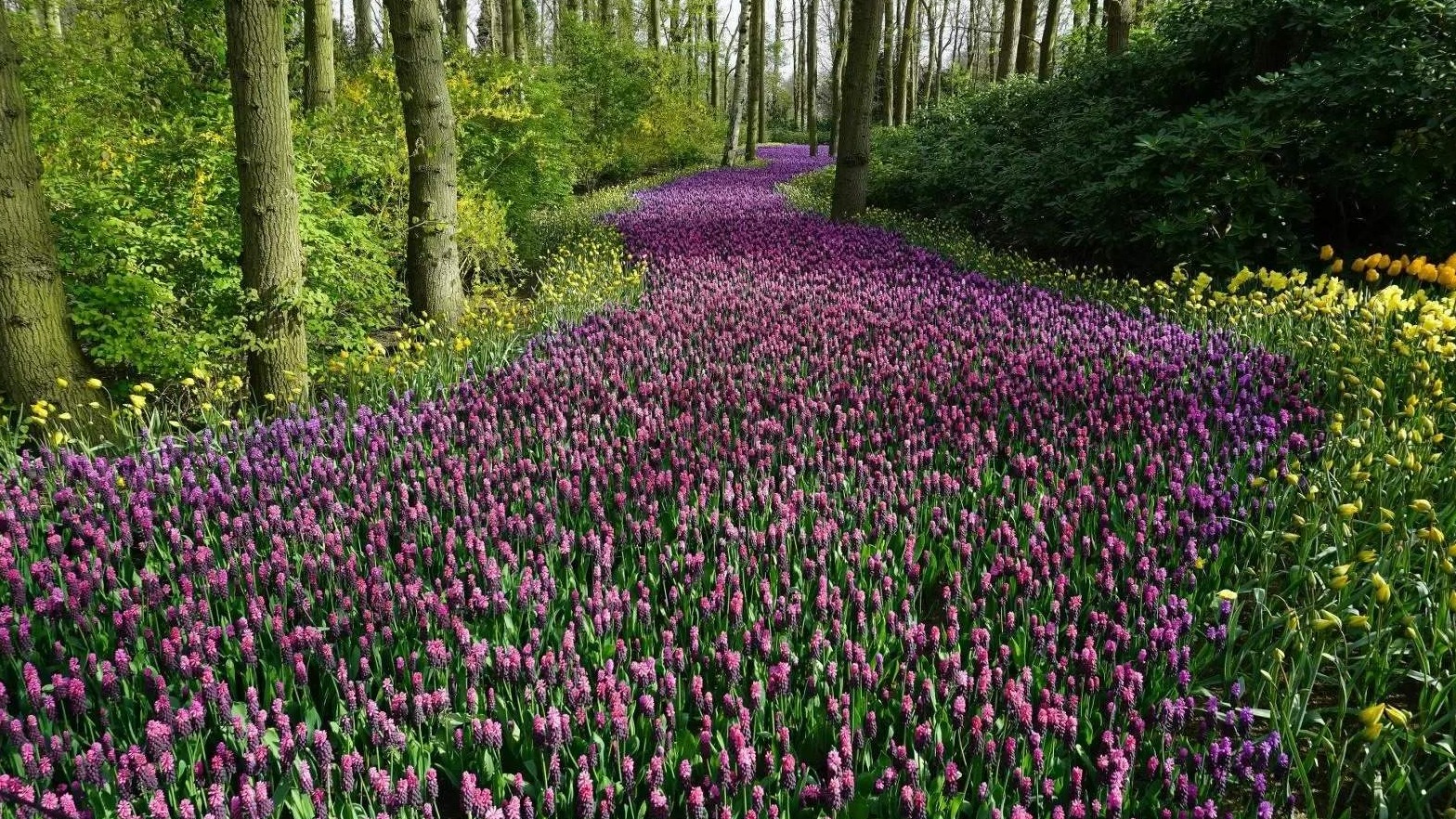 Kako glasi Sejjidul-istigfar: Dova stanovnika Dženneta