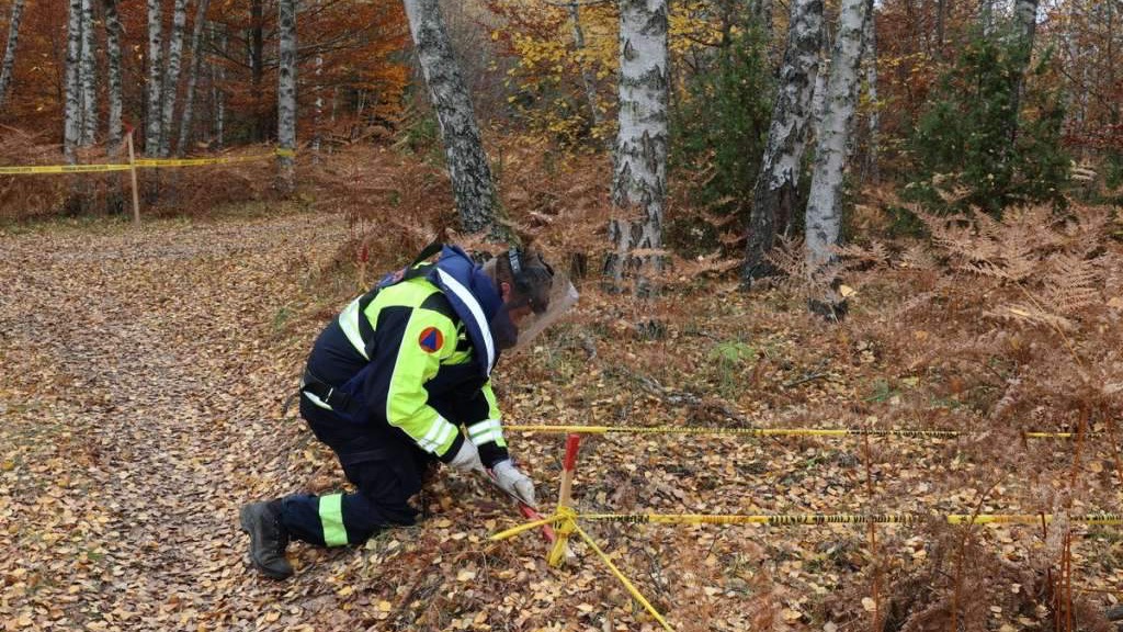 Na lokalitetu Zebina šuma u Općini Foča u FBiH u toku deminiranje – pronađen veliki broj mina