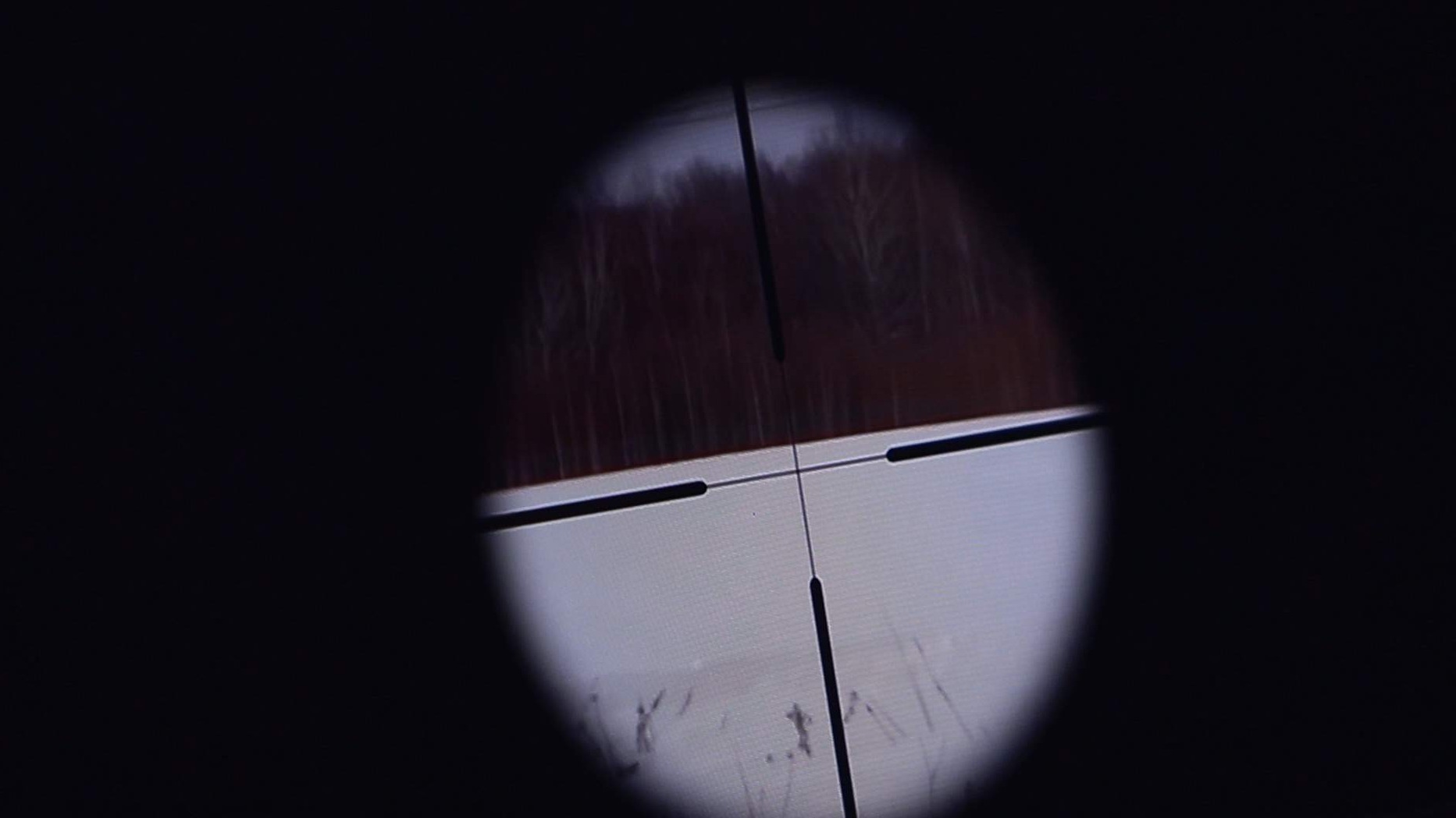 Srpski dobrovoljci nakon povratka s ukrajinskog ratišta predstavljaju sigurnosni izazov za Bosnu i Hercegovinu