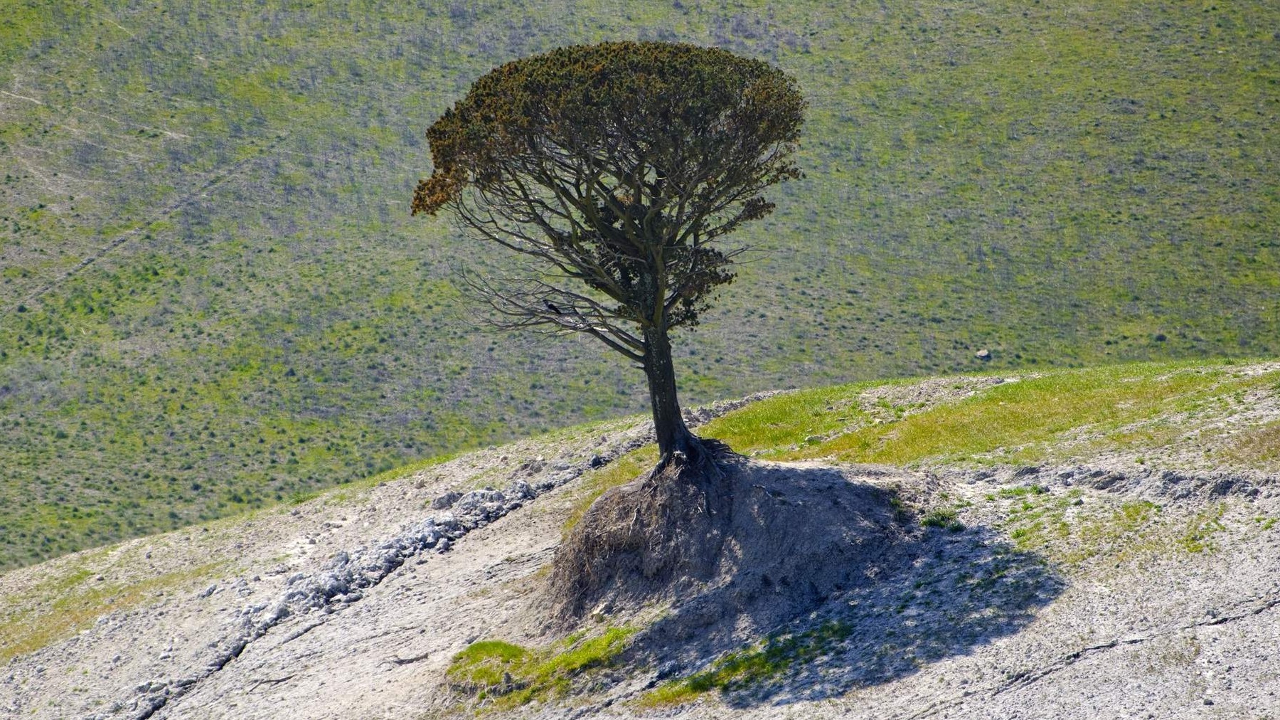 Čuda su od Gospodara, naš je trud