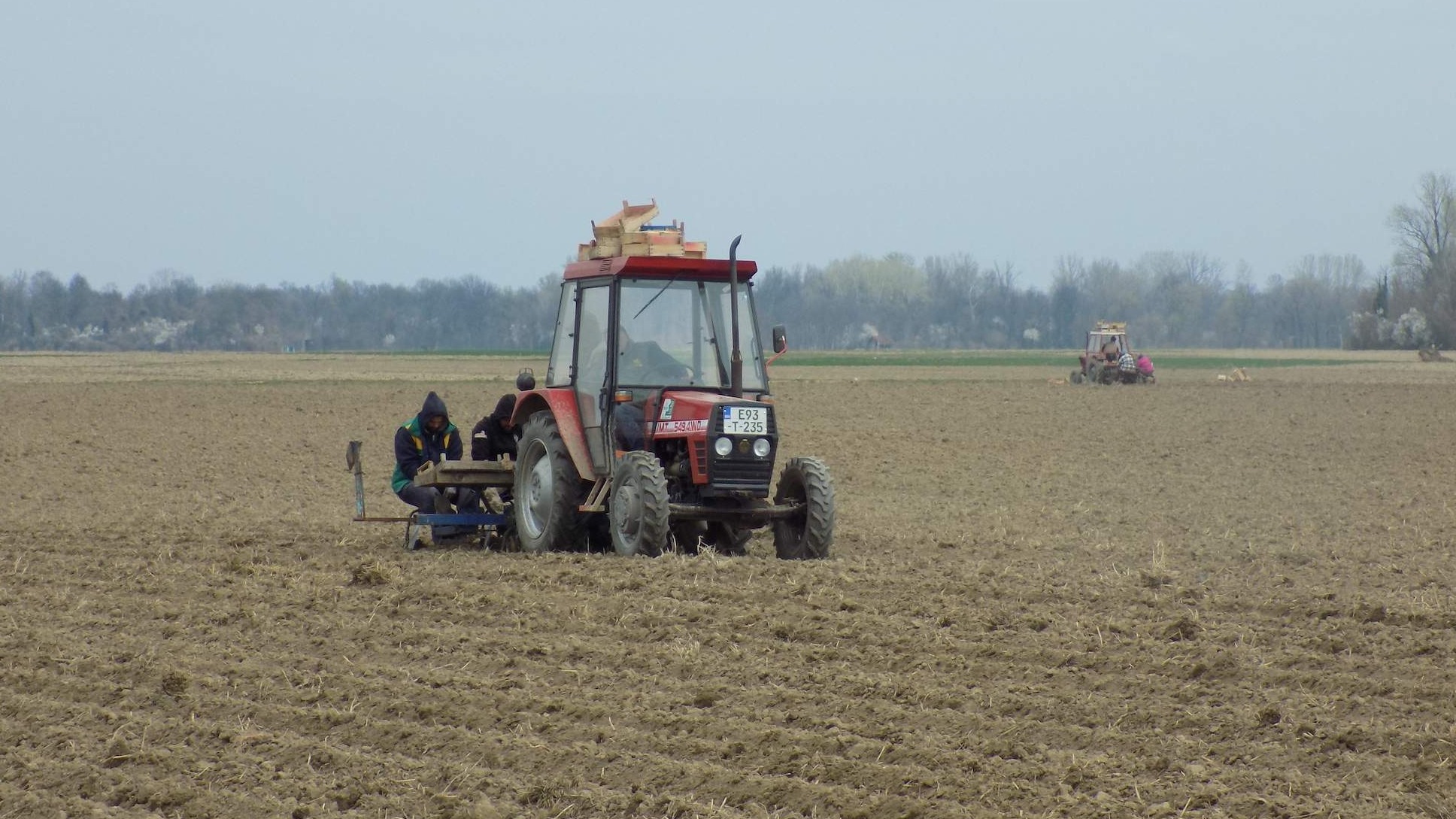 U FBiH u jesenjoj sjetvi zasijano 32.595 hektara