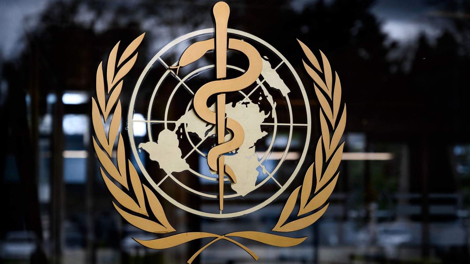 WHO saopštio da više od 18.500 ljudi u Gazi treba medicinsku evakuaciju