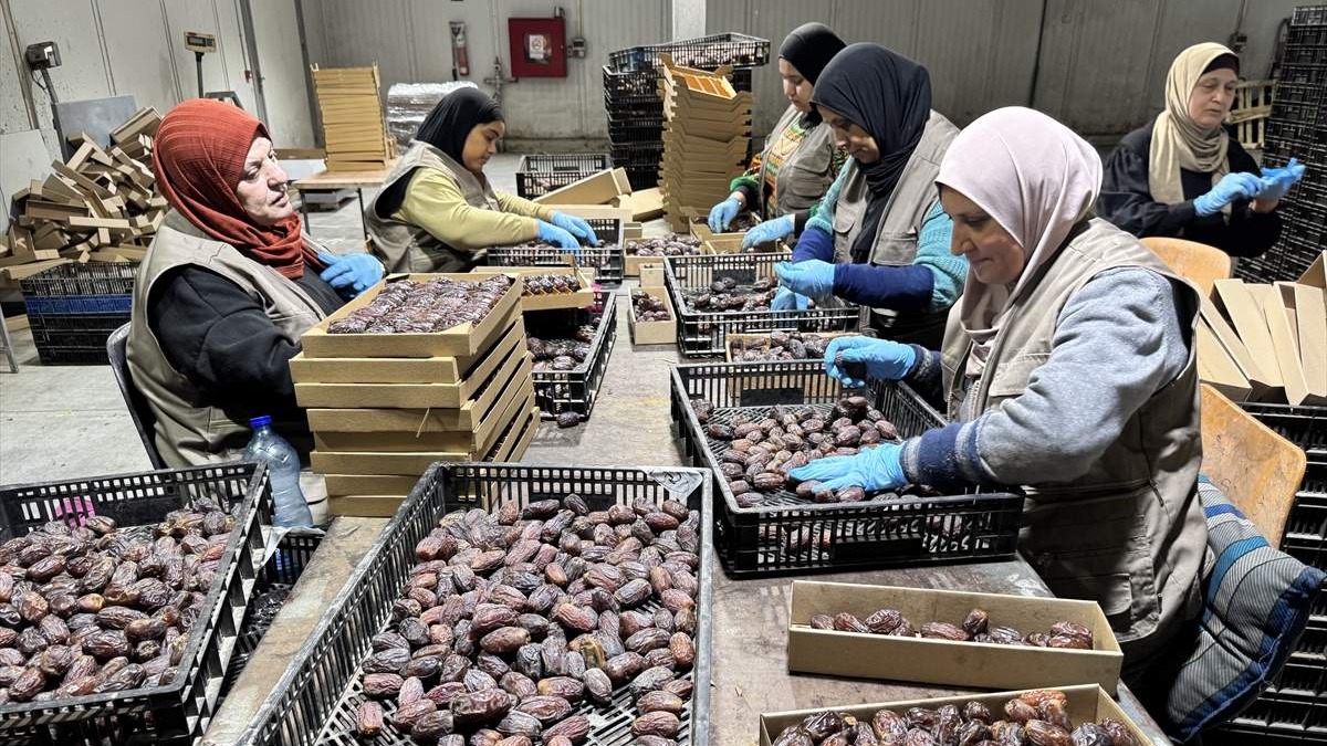 Izraelske hurme se prodaju na evropskom tržištu pod različitim etiketama