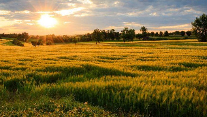 Medžlis Tuzla: Licitacija za zakup vakufskog zemljišta