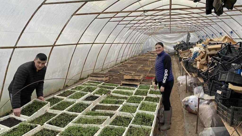 Emir i Adelisa Dreca iz Ustikoline: Odgovornost prema zemlji, kupcima i tržištu