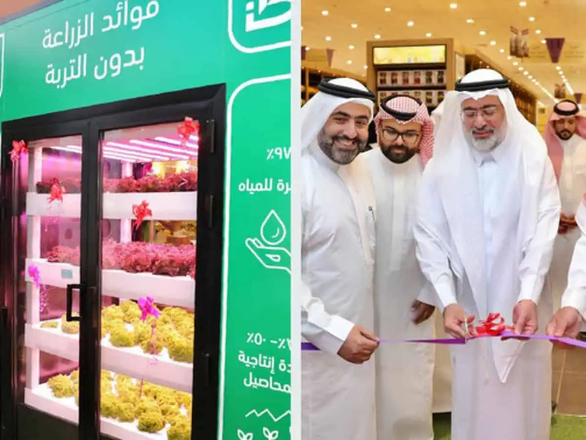 Saudi-Arabia-urban-farm.webp - Saudijska Arabija pokrenula projekat uzgoja poljoprivrednih proizvoda unutar prodavnica