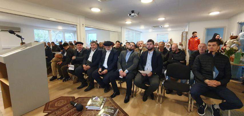 IMG-8510a5c517d293d3db3becfac2fc209e-V.jpg - IZBD: U Odenseu održana II tribina